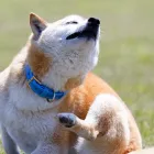 当店が選ばれる理由